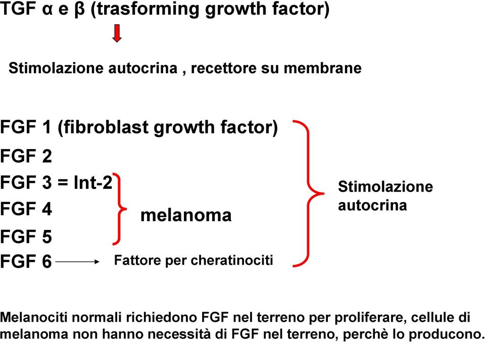 cheratinociti Stimolazione autocrina Melanociti normali richiedono FGF nel terreno per