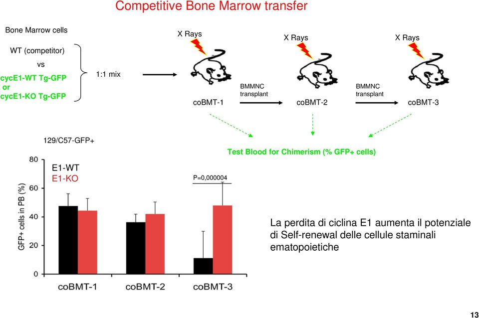 cobmt-3 129/C57-GFP+ Test Blood for Chimerism (% GFP+ cells) E1-WT E1-KO P=0,000004 La