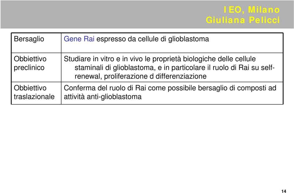 glioblastoma, e in particolare il ruolo di Rai su selfrenewal, proliferazione d