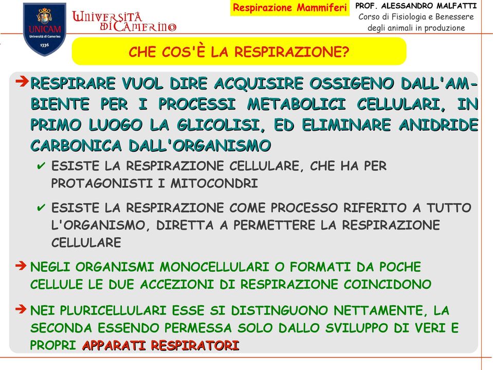 DALL'ORGANISMO ESISTE LA RESPIRAZIONE CELLULARE, CHE HA PER PROTAGONISTI I MITOCONDRI ESISTE LA RESPIRAZIONE COME PROCESSO RIFERITO A TUTTO L'ORGANISMO,