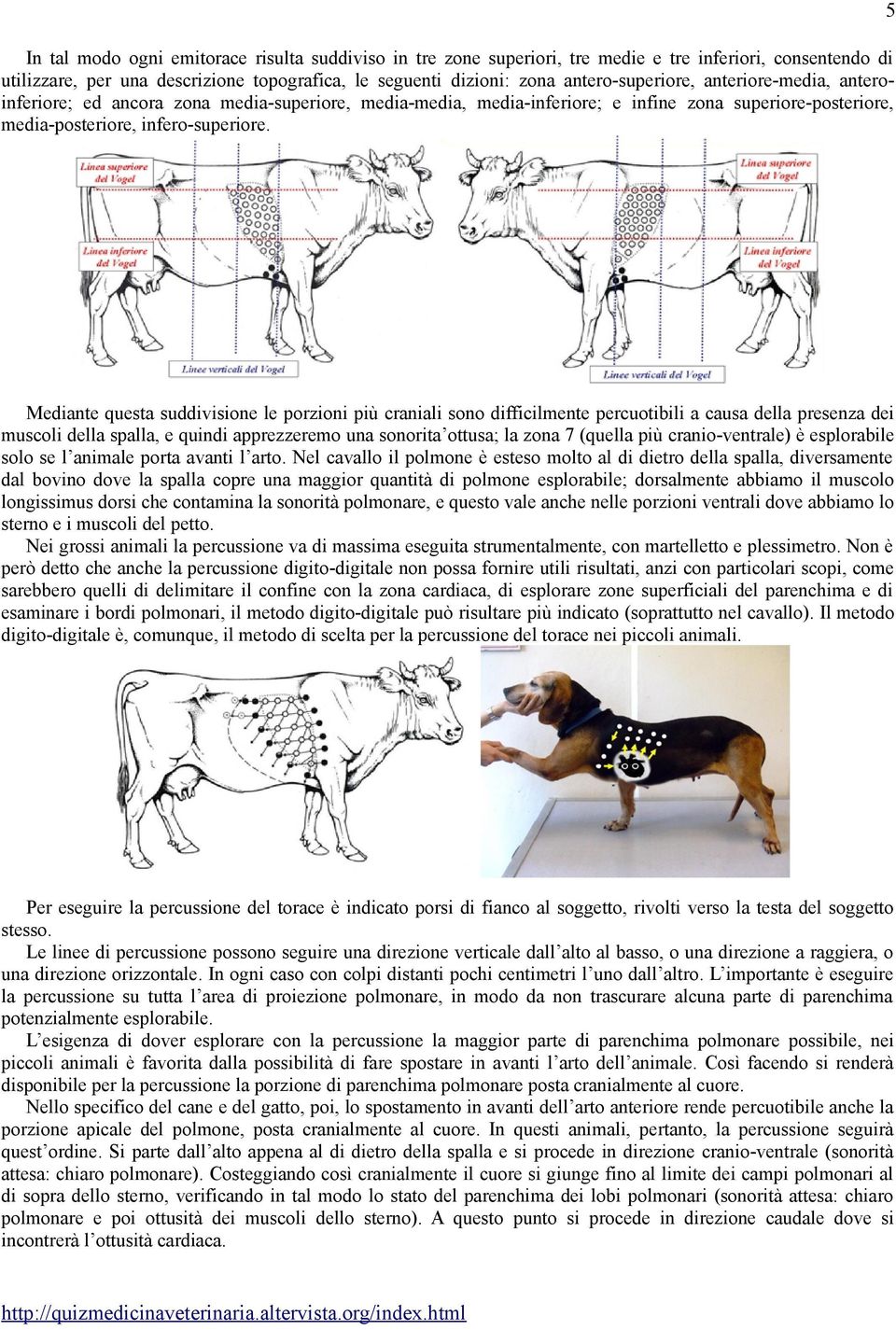 5 Mediante questa suddivisione le porzioni più craniali sono difficilmente percuotibili a causa della presenza dei muscoli della spalla, e quindi apprezzeremo una sonorita ottusa; la zona 7 (quella