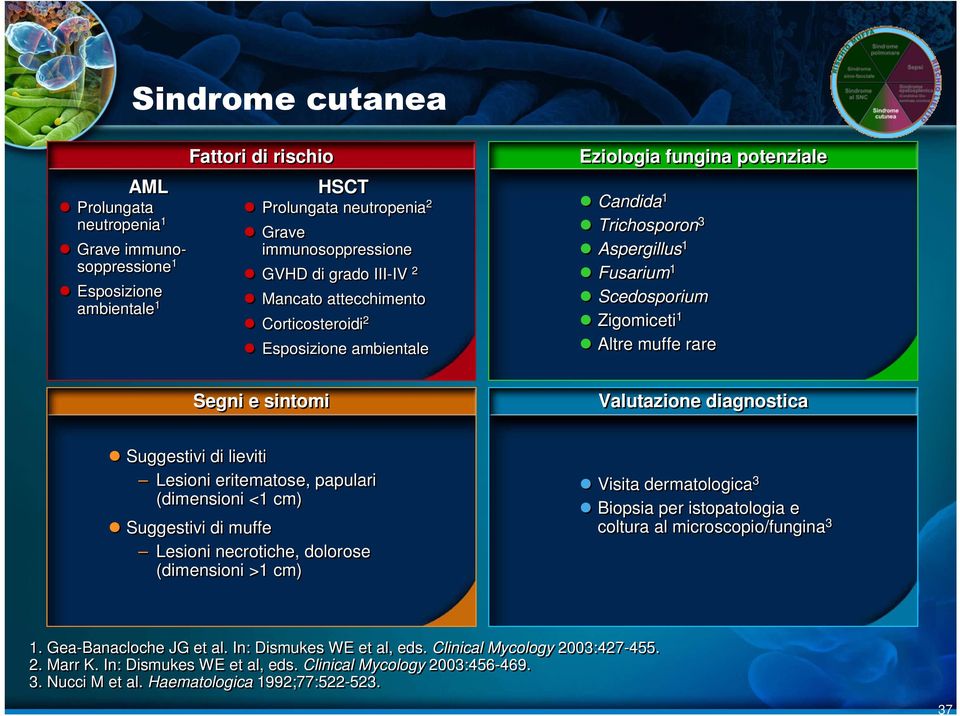 papulari (dimensioni <1 cm) Suggestivi di muffe Lesioni necrotiche, dolorose (dimensioni >1 cm) Visita dermatologica 3 Biopsia per istopatologia e coltura al microscopio/fungina 3 1.