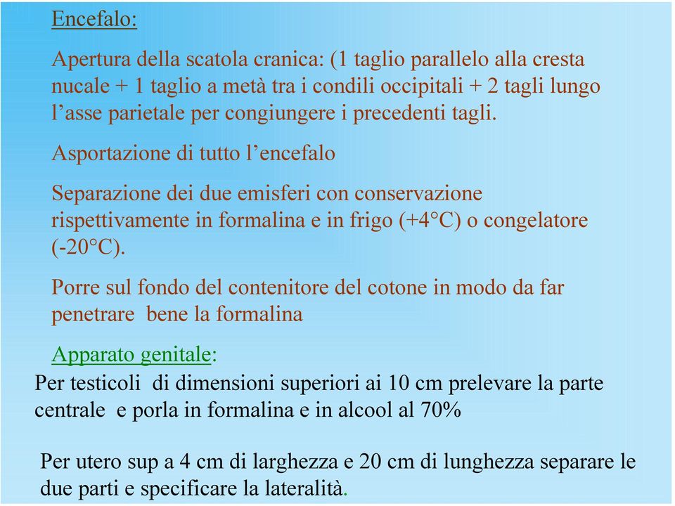 Asportazione di tutto l encefalo Separazione dei due emisferi con conservazione rispettivamente in formalina e in frigo (+4 C) o congelatore (-20 C).