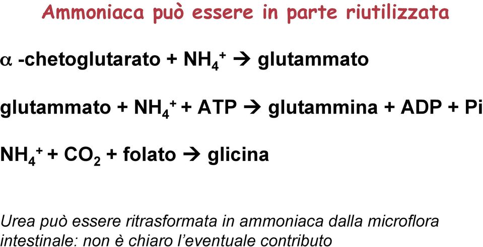 + 4 + CO 2 + folato glicina Urea può essere ritrasformata in