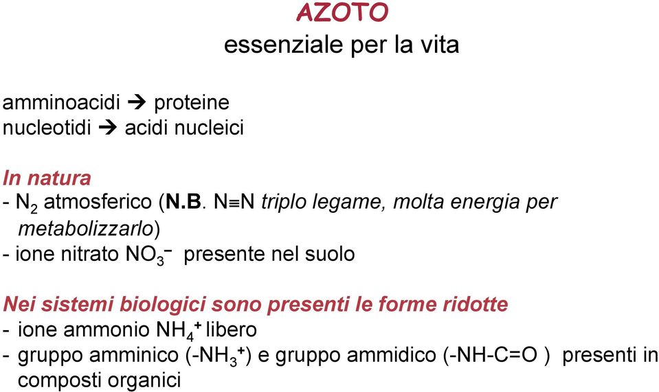 N N triplo legame, molta energia per metabolizzarlo) - ione nitrato NO 3 presente nel suolo