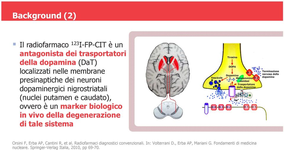 Tirosina DOPA Dopamina Monoammino ossidasi Trasportatore della dopamina Terminazione nervosa della dopamina Orsini F, Erba AP, Cantini R, et al.