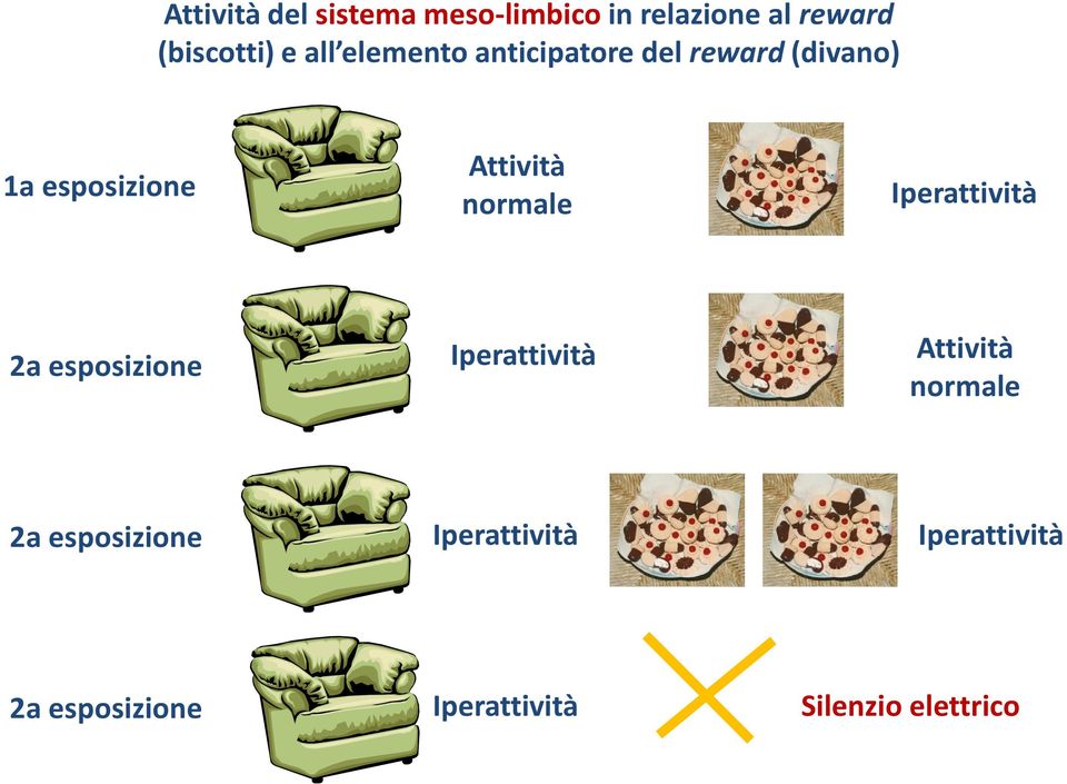 Iperattività 2a esposizione Iperattività Attività normale 2a esposizione