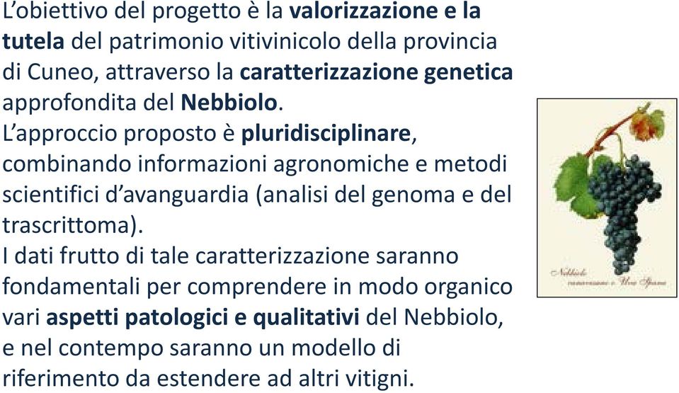 L approccio proposto è pluridisciplinare, combinando informazioni agronomiche e metodi scientifici d avanguardia (analisi del genoma e del