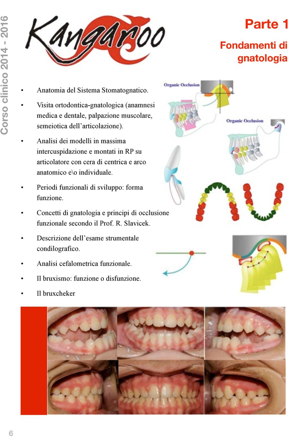 Periodi funzionali di sviluppo: forma funzione. Concetti di gnatologia e principi di occlusione funzionale secondo il Prof. R. Slavicek.