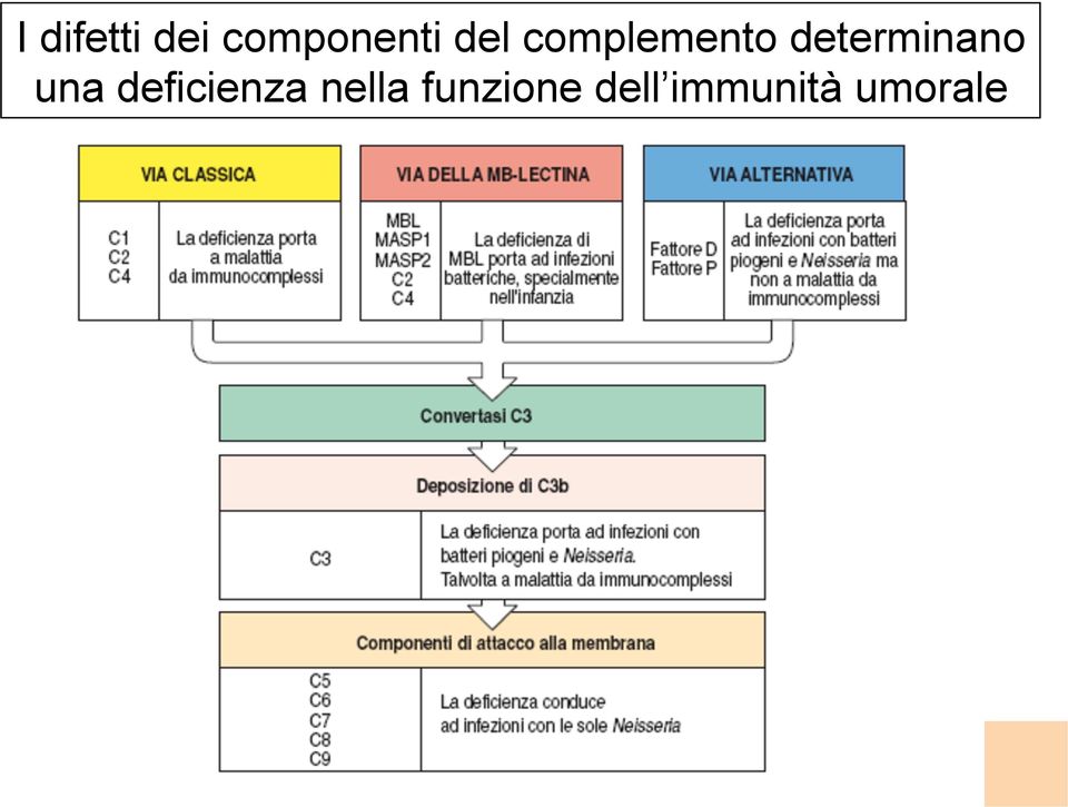 determinano 12 una