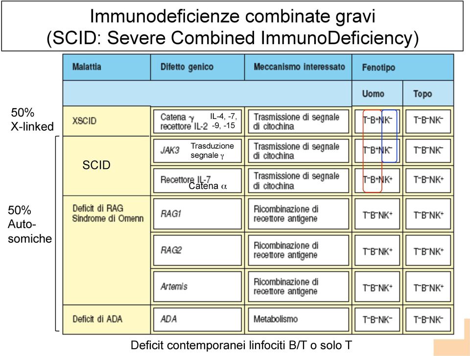 -7, -9, -15 SCID Trasduzione segnale γ Catena α