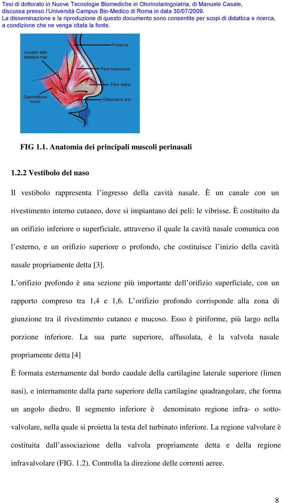 È costituito da un orifizio inferiore o superficiale, attraverso il quale la cavità nasale comunica con l esterno, e un orifizio superiore o profondo, che costituisce l inizio della cavità nasale