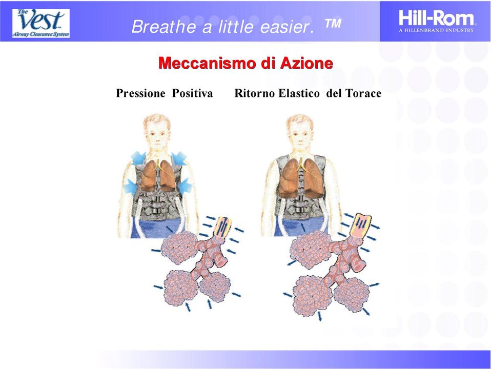 Positiva Ritorno