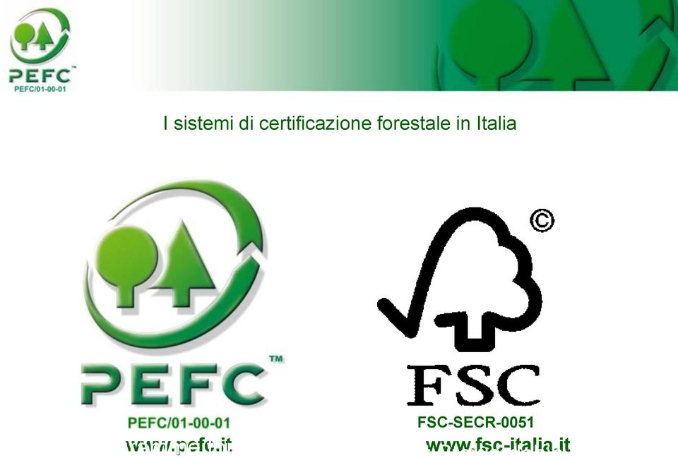 it for Endorsement of Forest Certification