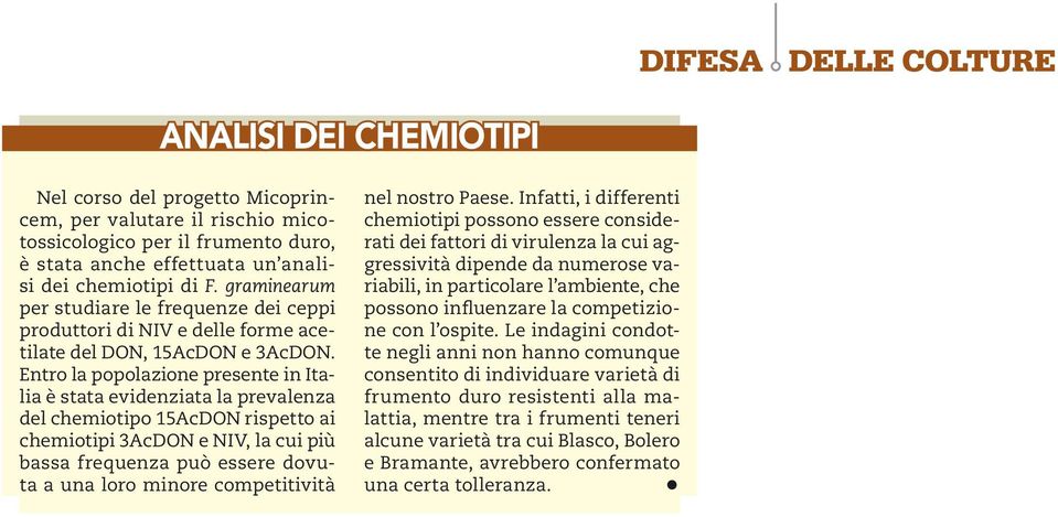 Entro la popolazione presente in Italia è stata evidenziata la prevalenza del chemiotipo 15AcDON rispetto ai chemiotipi 3AcDON e NIV, la cui più bassa frequenza può essere dovuta a una loro minore