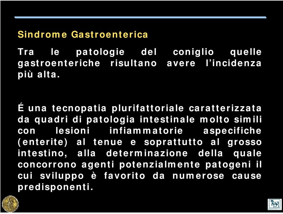 lesioni infiammatorie aspecifiche (enterite) al tenue e soprattutto al grosso intestino, alla determinazione