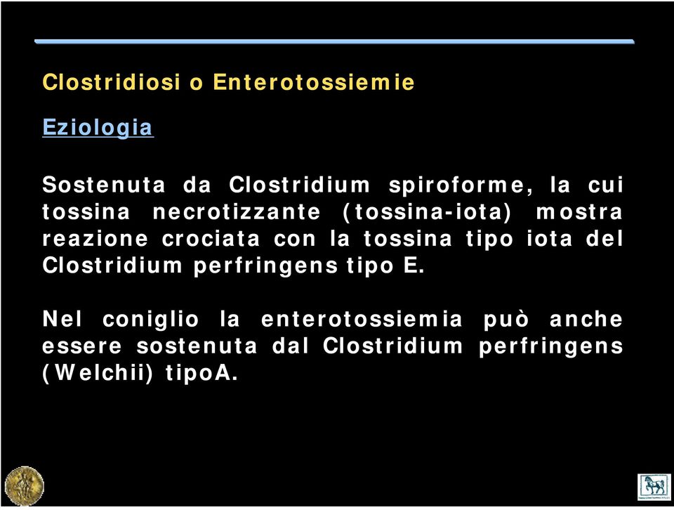 crociata con la tossina tipo iota del Clostridium perfringens tipo E.