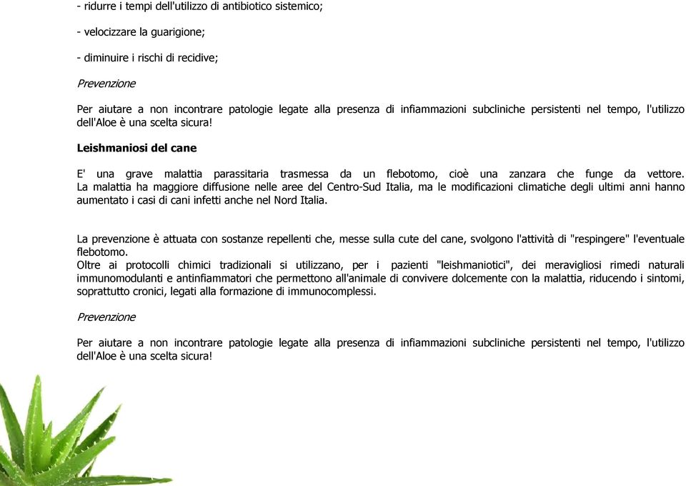 Leishmaniosi del cane E' una grave malattia parassitaria trasmessa da un flebotomo, cioè una zanzara che funge da vettore.