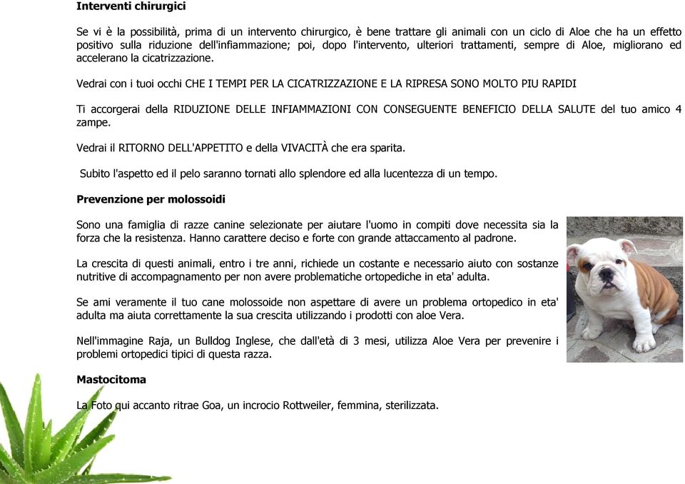 Vedrai con i tuoi occhi CHE I TEMPI PER LA CICATRIZZAZIONE E LA RIPRESA SONO MOLTO PIU RAPIDI Ti accorgerai della RIDUZIONE DELLE INFIAMMAZIONI CON CONSEGUENTE BENEFICIO DELLA SALUTE del tuo amico 4