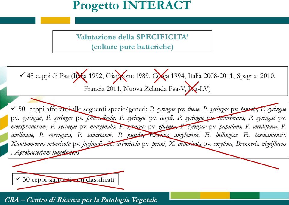 syringae pv. morsprunorum, P. syringae pv. marginalis, P. syringae pv. glicinea, P. syringae pv. papulans, P. viridiflava, P. avellanae, P. corrugata, P. savastanoi, P. putida, Erwinia amylovora, E.