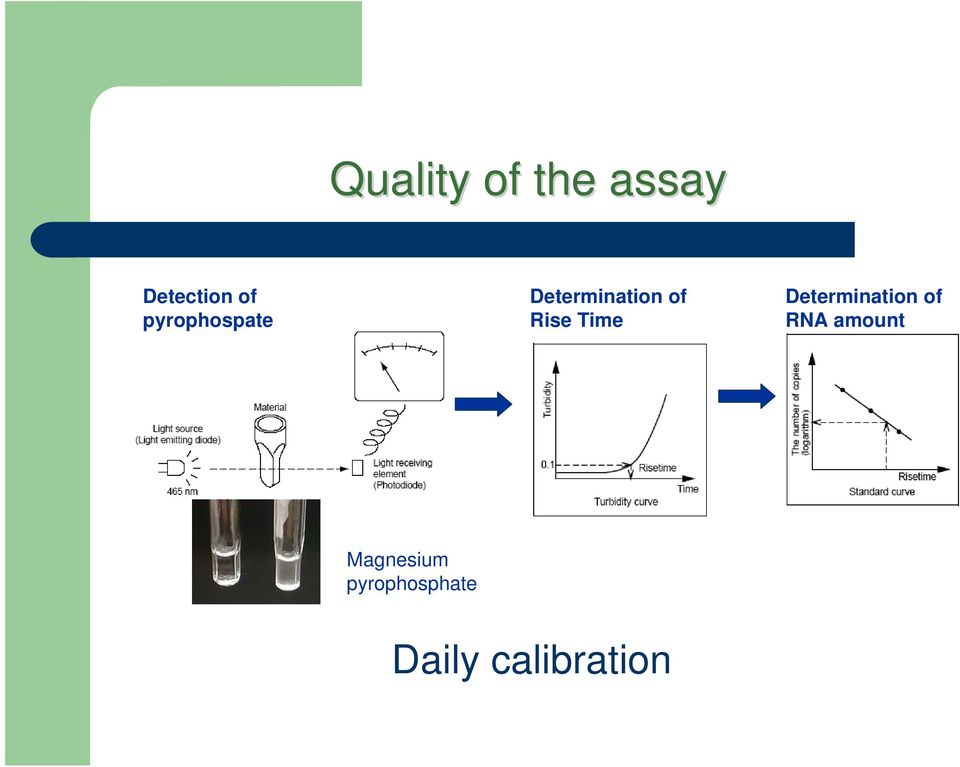 Time Determination of RNA amount