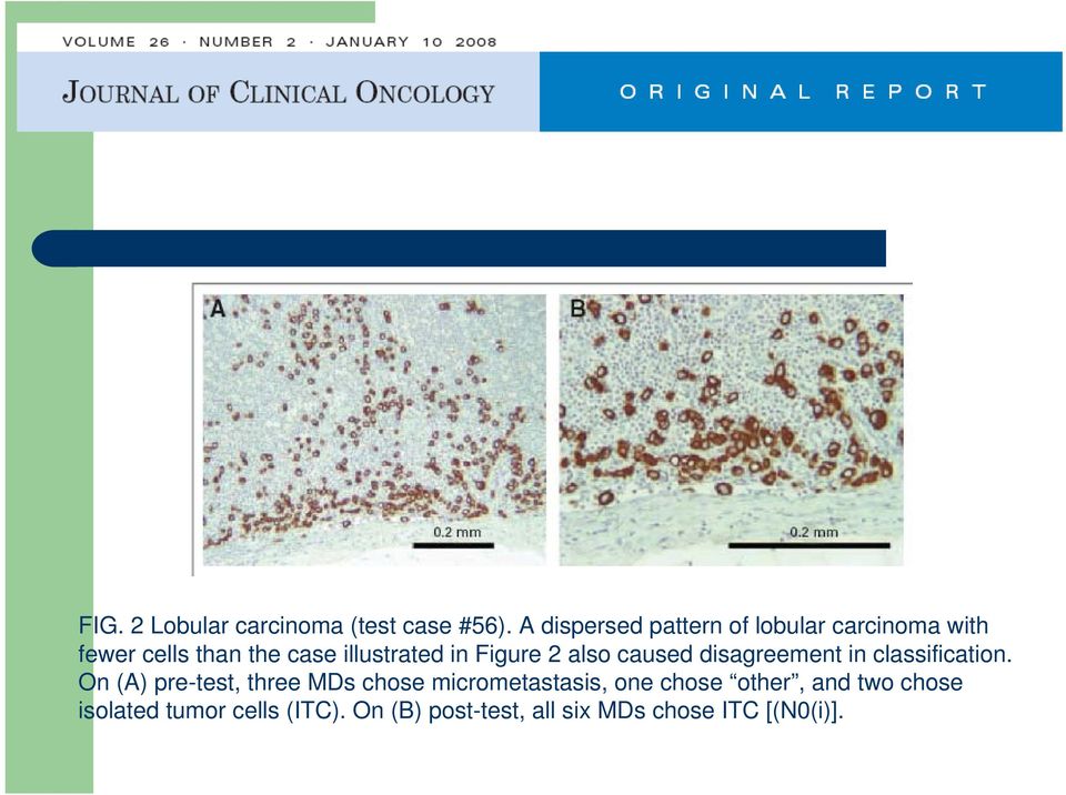 in Figure 2 also caused disagreement in classification.