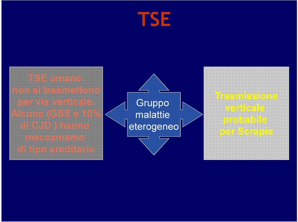 Alcune (GSS e 10% di CJD ) hanno meccanismo di