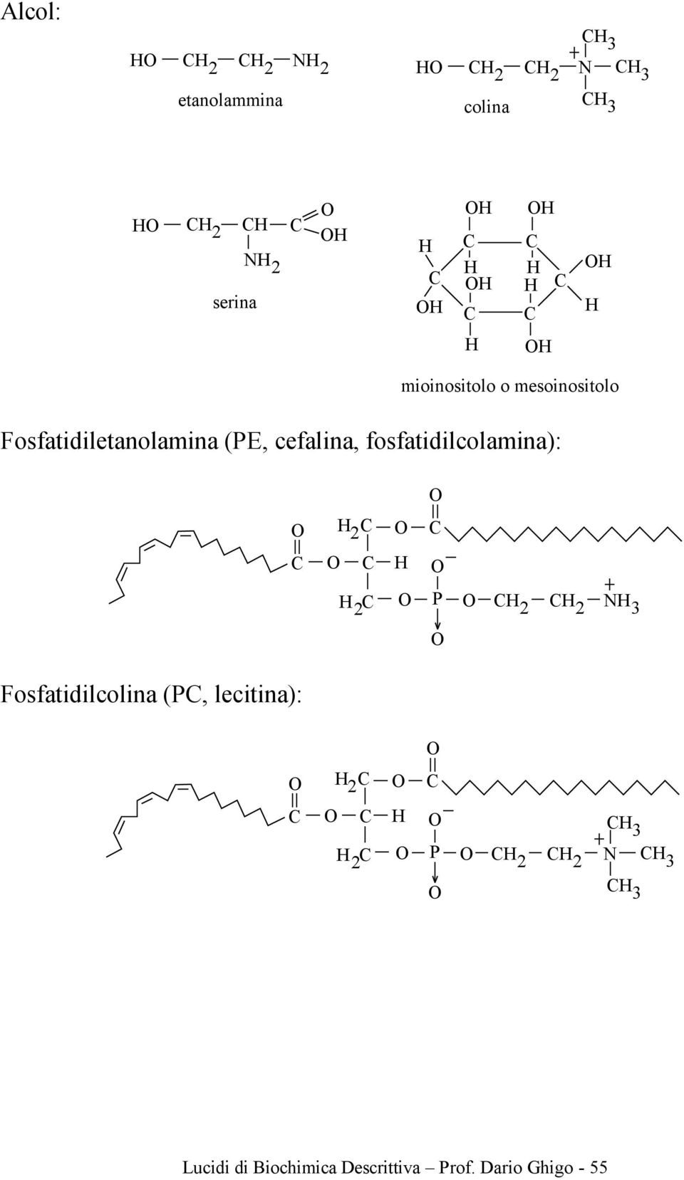 fosfatidilcolamina): P N Fosfatidilcolina (P,
