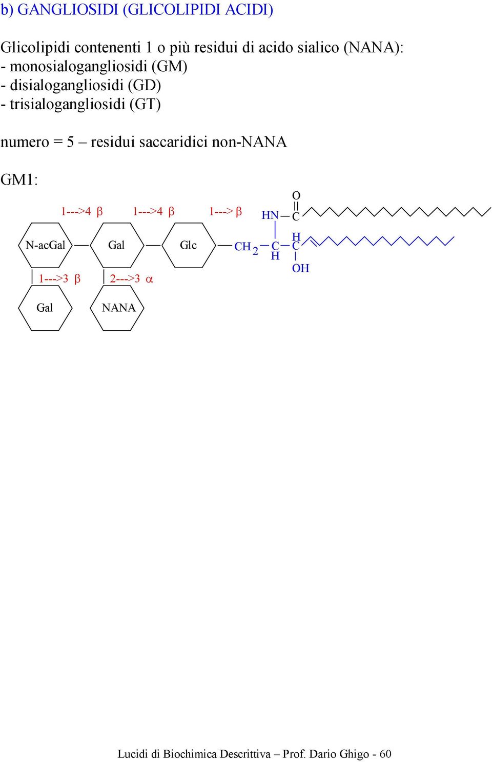 trisialogangliosidi (GT) numero = 5 residui saccaridici non-nana GM1: 1--->4 β 1--->4