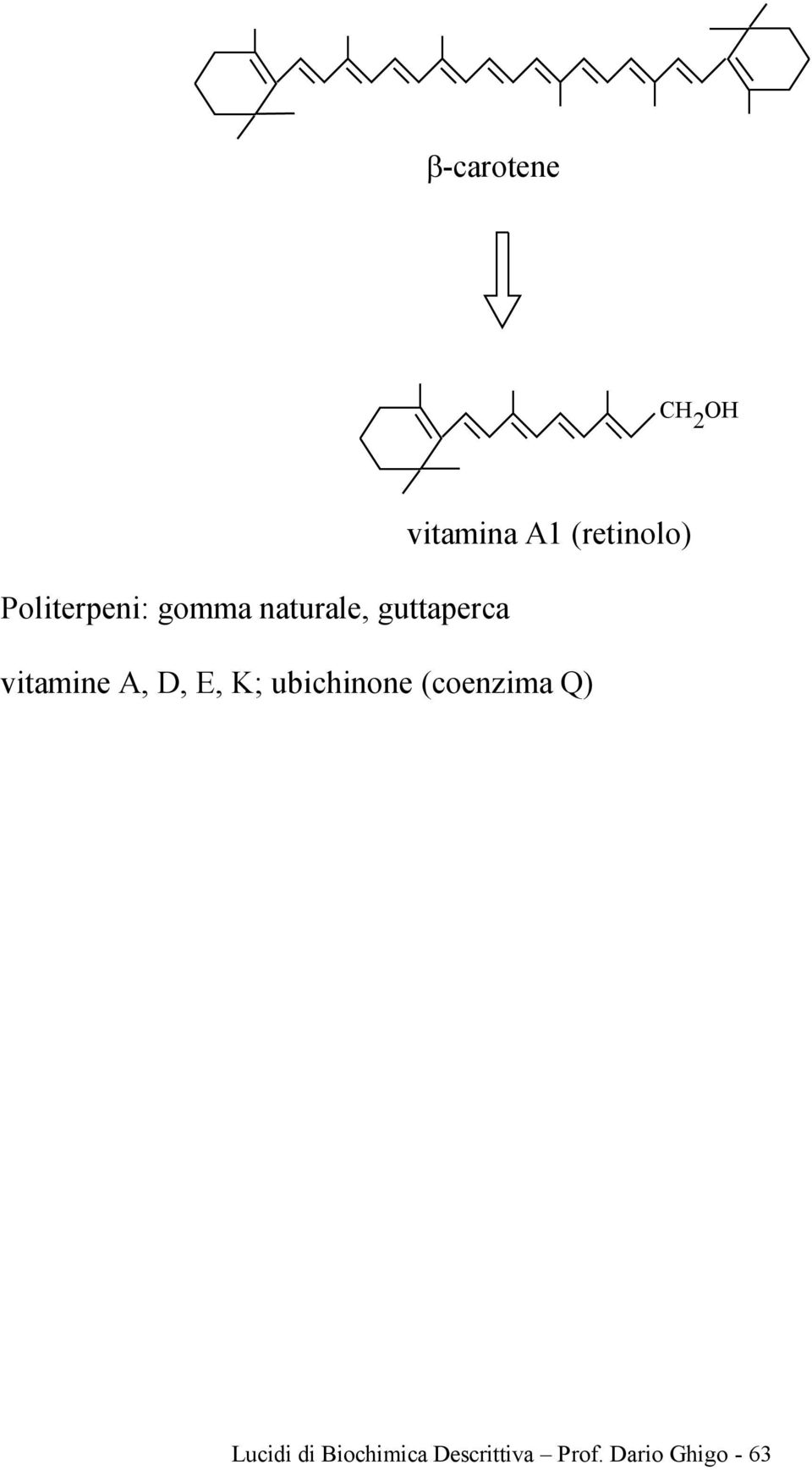 A, D, E, K; ubichinone (coenzima Q) Lucidi