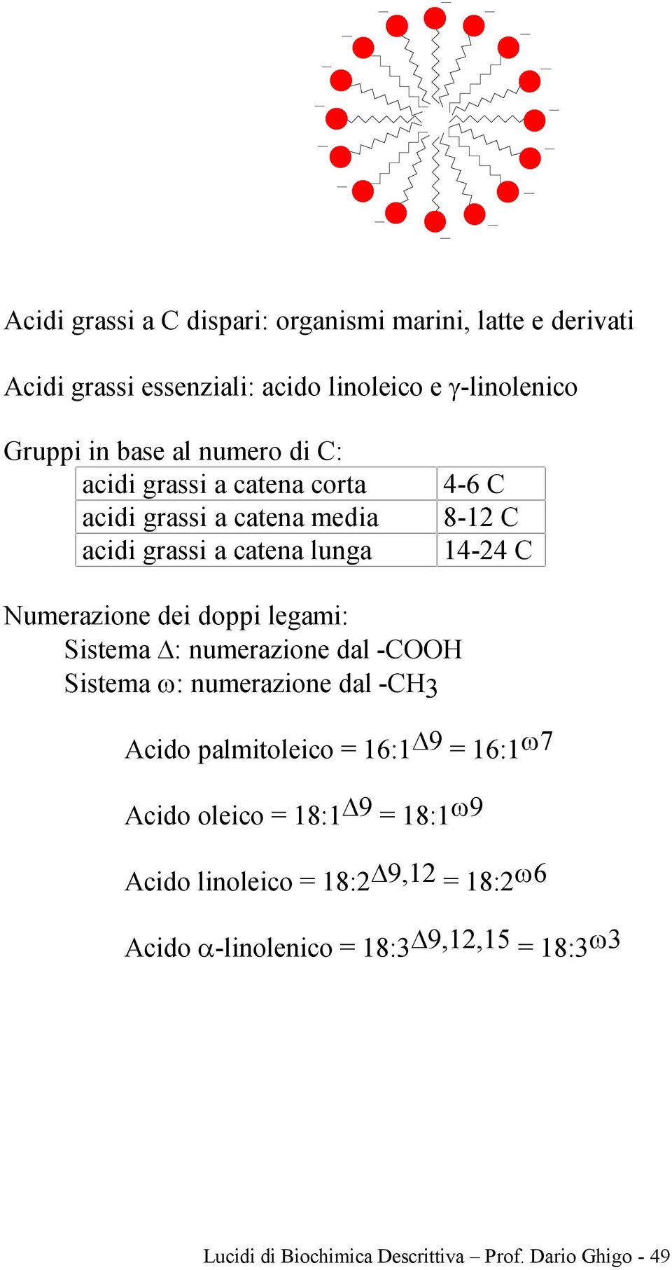 legami: Sistema : numerazione dal - Sistema ω: numerazione dal - Acido palmitoleico = 16:1 9 = 16:1 ω7 Acido oleico = 18:1 9 = 18:1