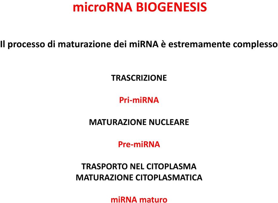 Pri-miRNA MATURAZIONE NUCLEARE Pre-miRNA