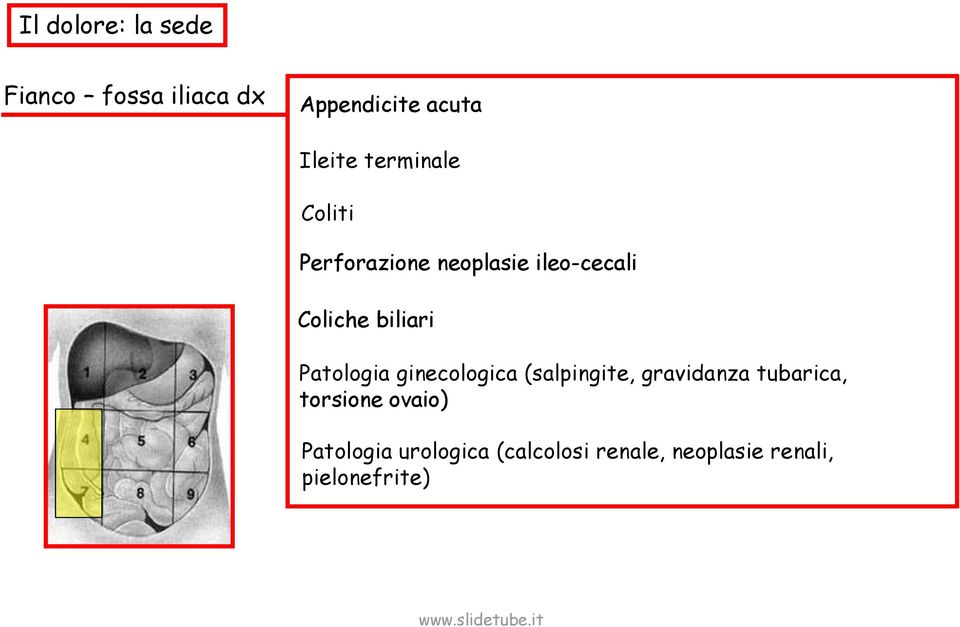 Patologia ginecologica (salpingite, gravidanza tubarica, torsione