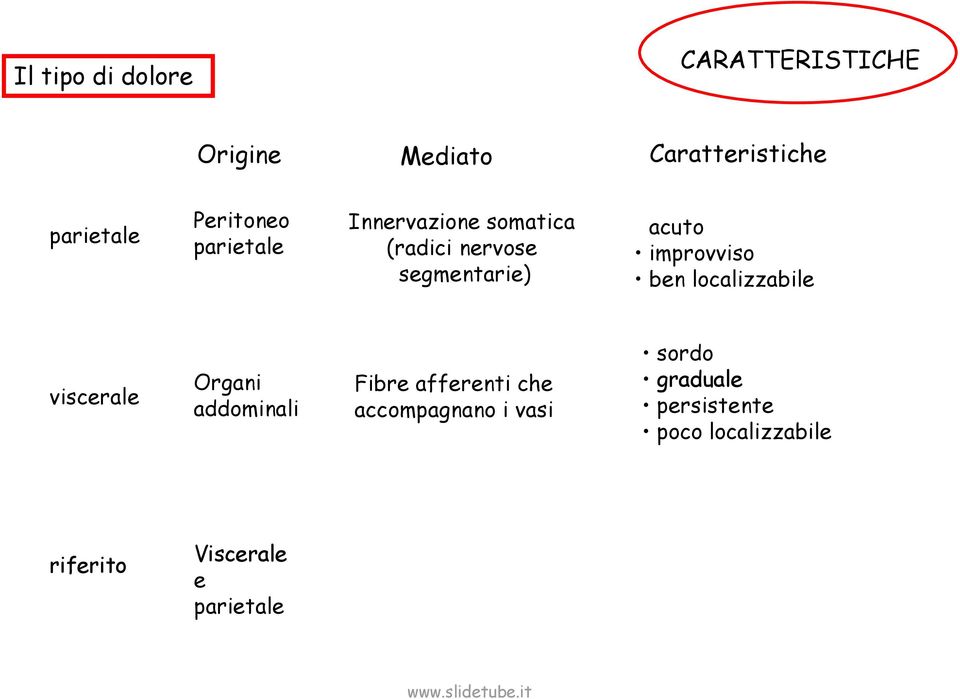 improvviso ben localizzabile viscerale Organi addominali Fibre afferenti che