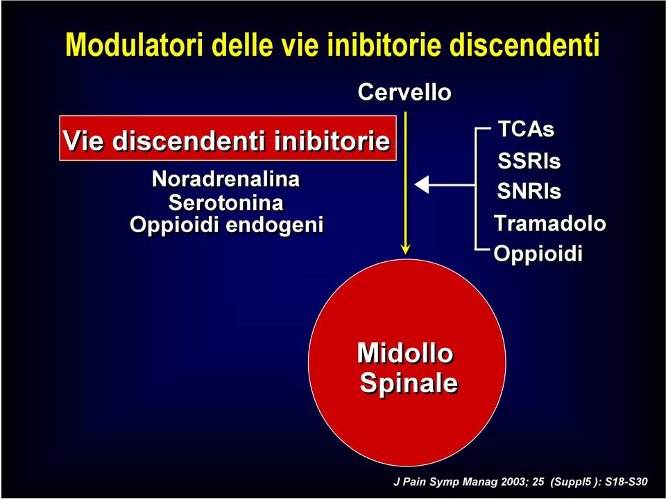 Oppioidi endogeni Cervello TCAs SSRIs SNRIs Tramadolo