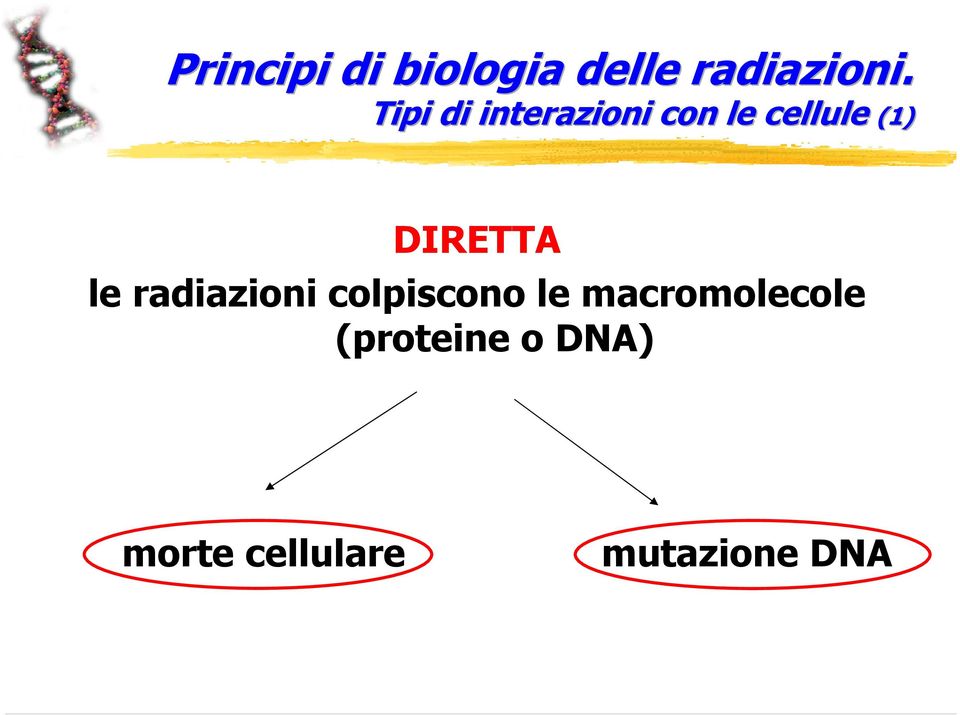 DIRETTA le radiazioni colpiscono le