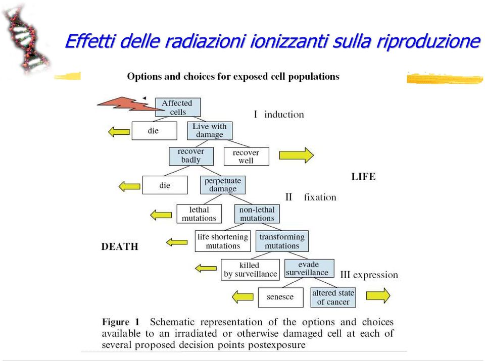 ionizzanti