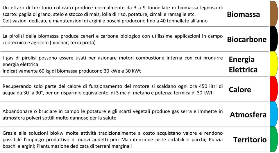 campo zootecnico e agricolo (biochar, terra preta) I gas di pirolisi possono essere usati per azionare motori combustione interna con cui produrre energia elettrica Indicativamente 60 kg di biomassa