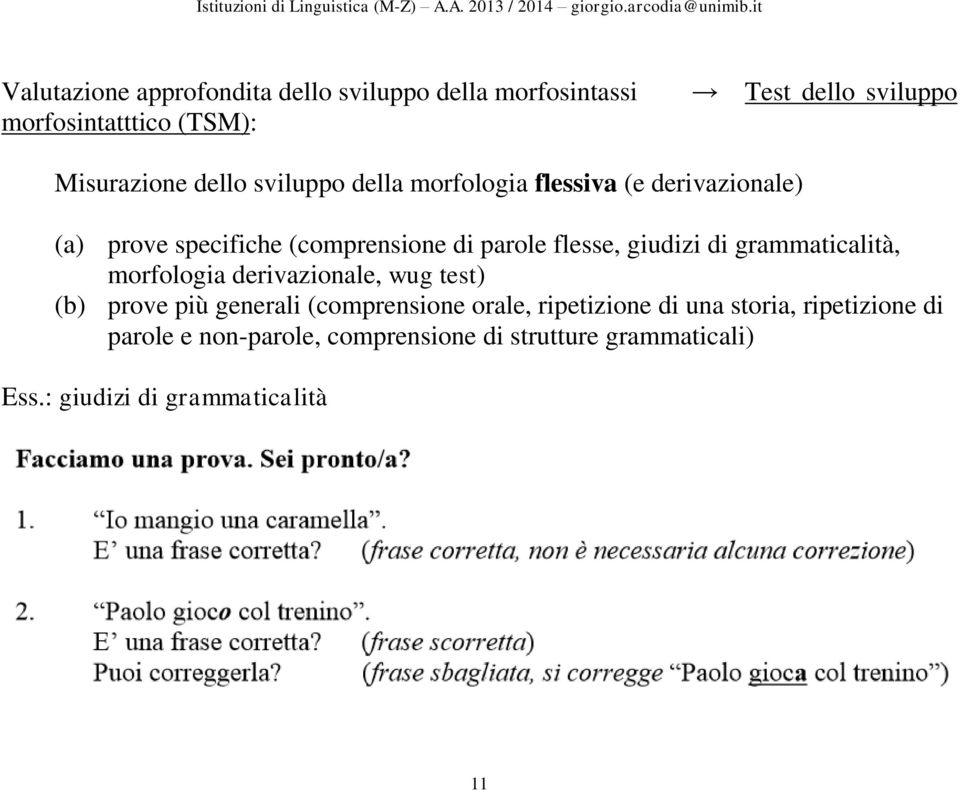 giudizi di grammaticalità, morfologia derivazionale, wug test) (b) prove più generali (comprensione orale,