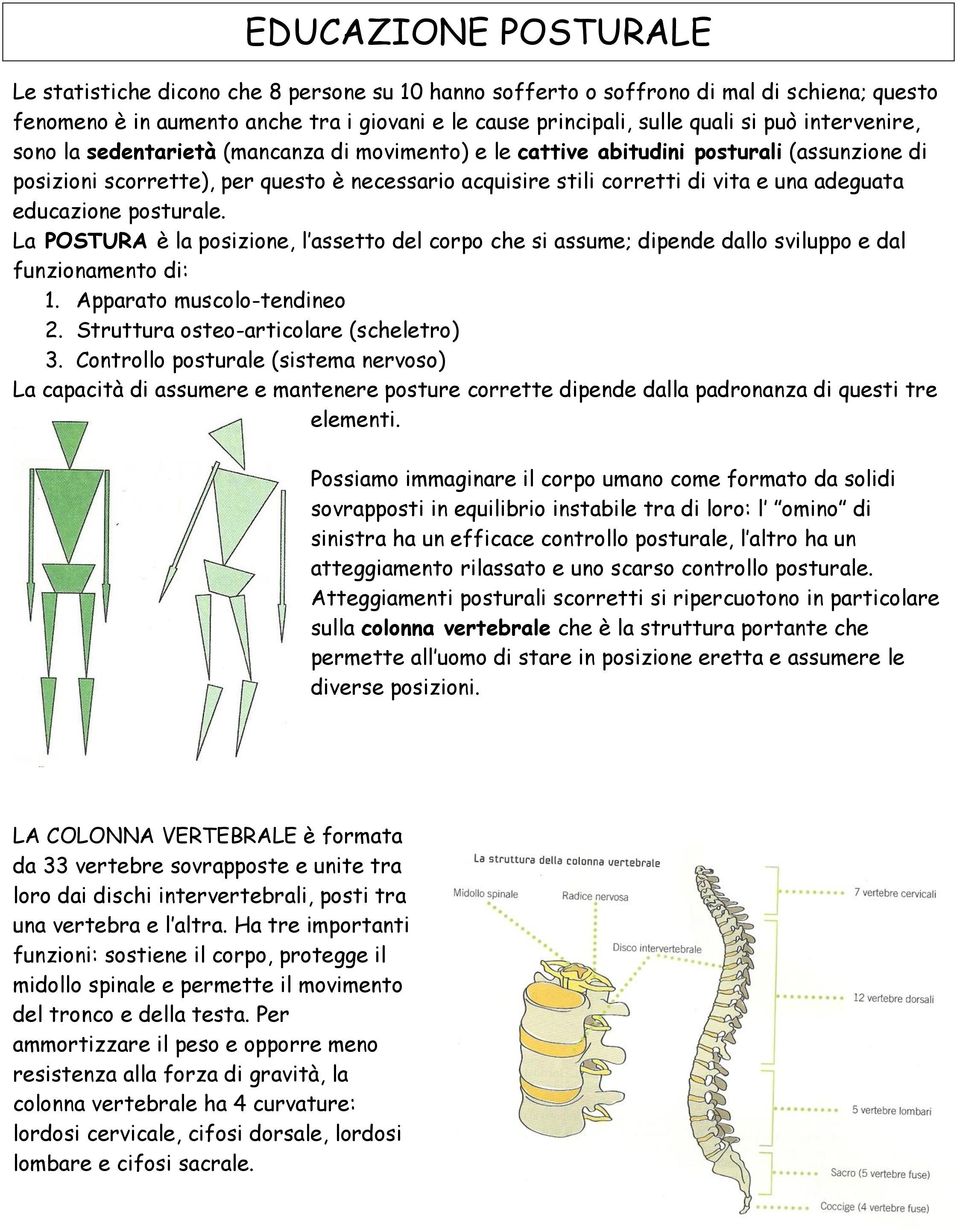 educazione posturale. La POSTURA è la posizione, l assetto del corpo che si assume; dipende dallo sviluppo e dal funzionamento di: 1. Apparato muscolo-tendineo 2.