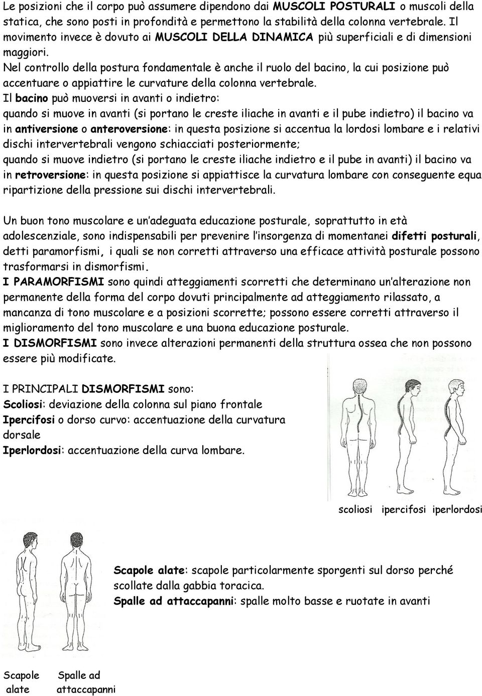 Nel controllo della postura fondamentale è anche il ruolo del bacino, la cui posizione può accentuare o appiattire le curvature della colonna vertebrale.