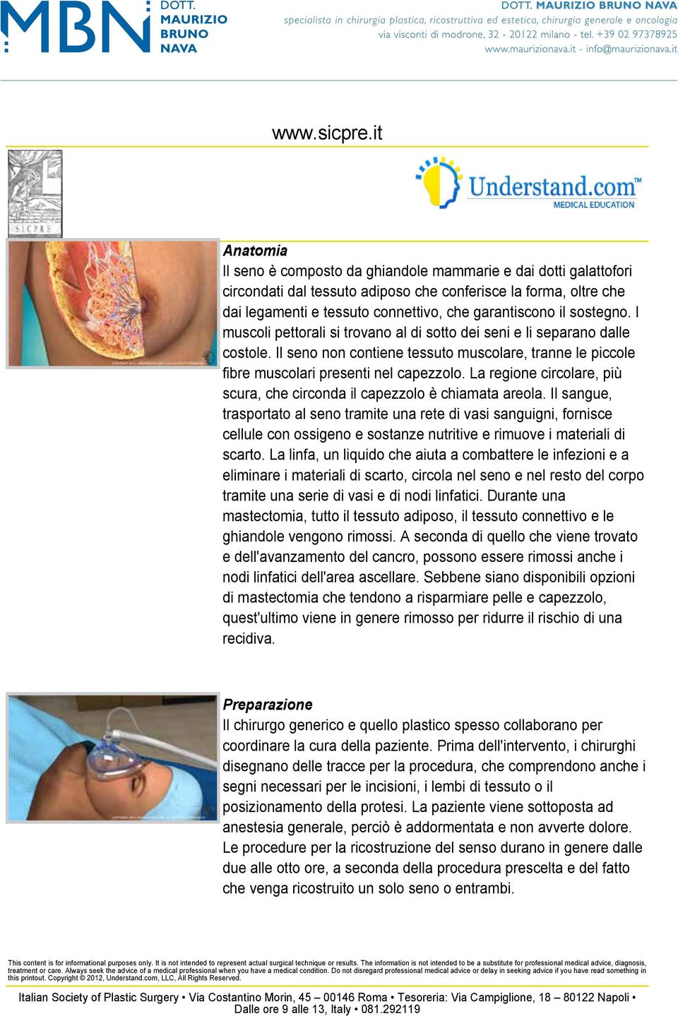 La regione circolare, più scura, che circonda il capezzolo è chiamata areola.