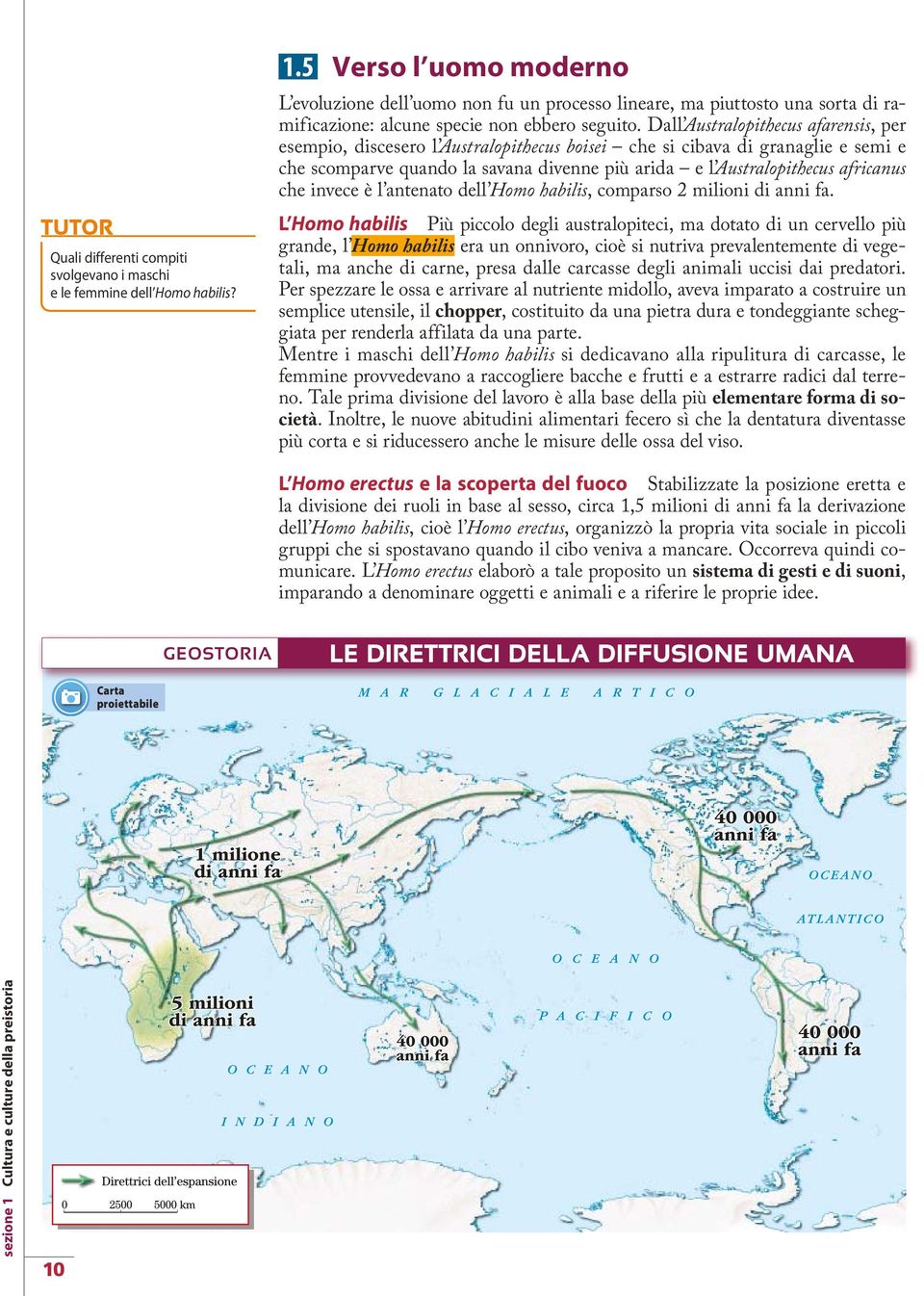 Dall Australopithecus afarensis, per esempio, discesero l Australopithecus boisei che si cibava di granaglie e semi e che scomparve quando la savana divenne più arida e l Australopithecus africanus