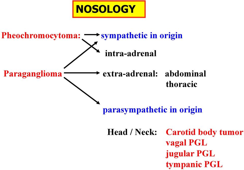 abdominal thoracic parasympathetic in origin Head