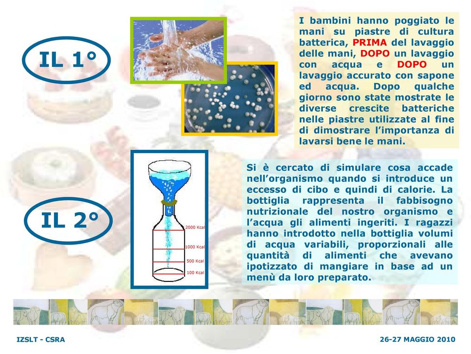 IL 2 2000 Kcal 1000 Kcal 500 Kcal 100 Kcal Si è cercato di simulare cosa accade nell organismo quando si introduce un eccesso di cibo e quindi di calorie.