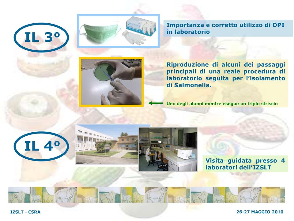 laboratorio seguita per l isolamento di Salmonella.