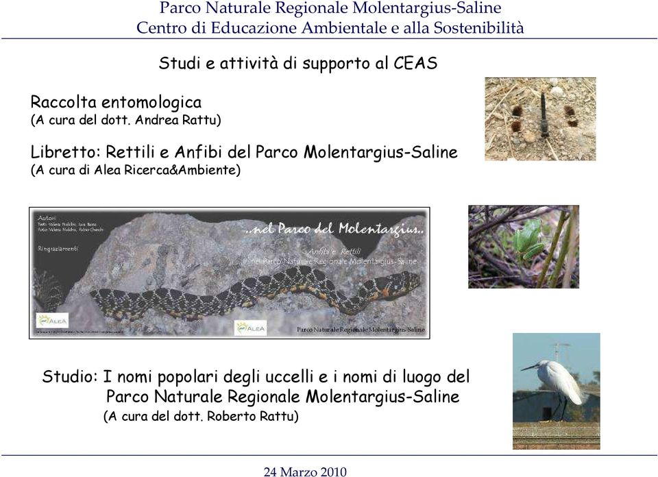 CEAS Libretto: Rettili e Anfibi del Parco Molentargius-Saline (A cura di Alea