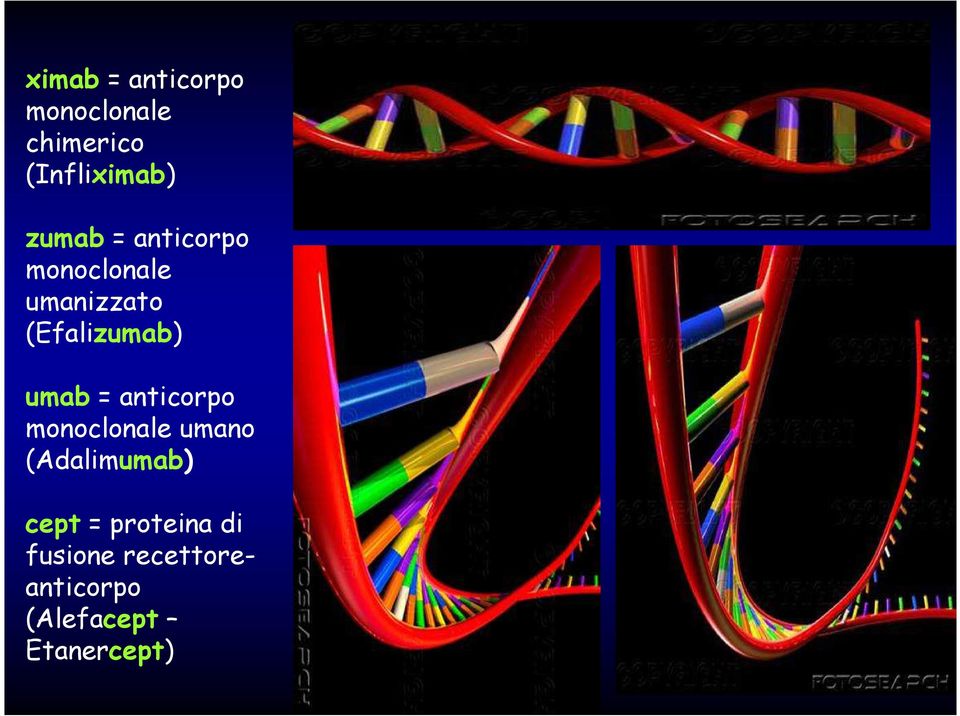 umab = anticorpo monoclonale umano (Adalimumab) cept =