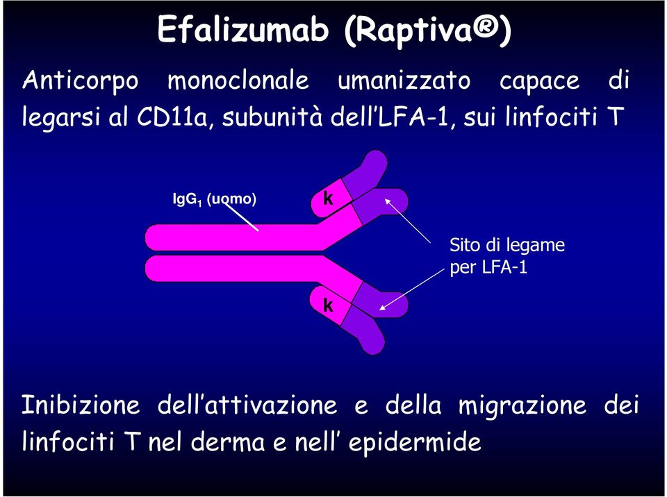 1 (uomo) k Sito di legame per LFA-1 k Inibizione dell