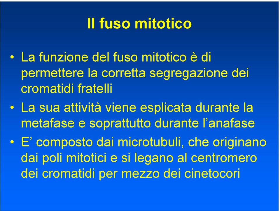 metafase e soprattutto durante l anafase E composto dai microtubuli, che